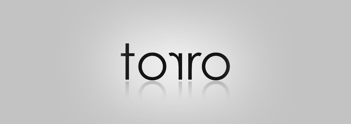 Torro products combine modern solutions, smart design and a decent price